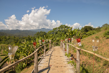 Fototapeta na wymiar Su Tong Pe bridge is made of bamboo at Maehongson province Thailand (southeast asia)