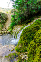 Fototapeta na wymiar Beautiful waterfall in carpathian mountains