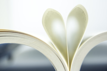 love lesson , book and heart