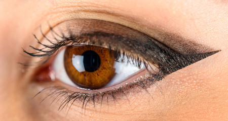 Woman Eye With Makeup And Long Eyelashes