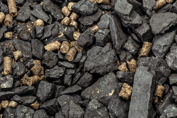 Coal and biomass pellet