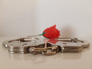 Handschellen mit einer roten Rose