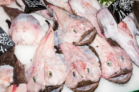 Ice chilled skinned angler monkfish on a fish market stand.