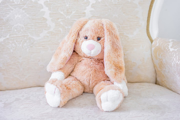plush rabbit