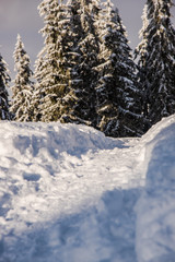 Fototapeta premium Snow traces