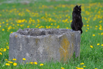 Wiosna na Mazurach © Rafa