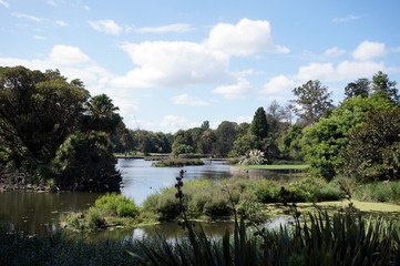 Relax at the Royal Botanic Gardens