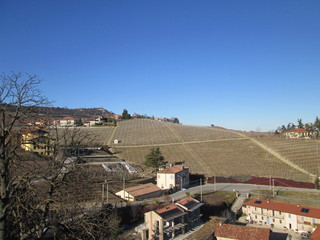Langhe , Vigne del piemonte