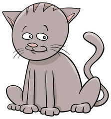 cat animal character