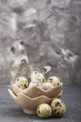 Quail eggs in the design of ceramic bowls in the form  broken shell with bird feathers on a dark...