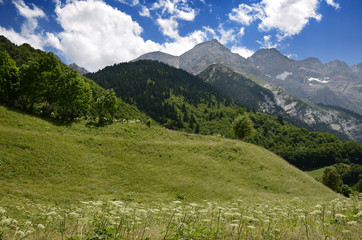 Fototapeta na wymiar Pyrenees in summer