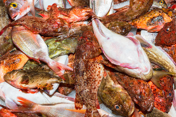 Fresh fish variety for sale at seafood market, Palma, Mallorca