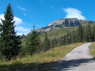 Fototapeta premium Berge im Kleinwalsertal