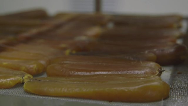 Salted bottarga 7
Shooting of salting the bottarga 