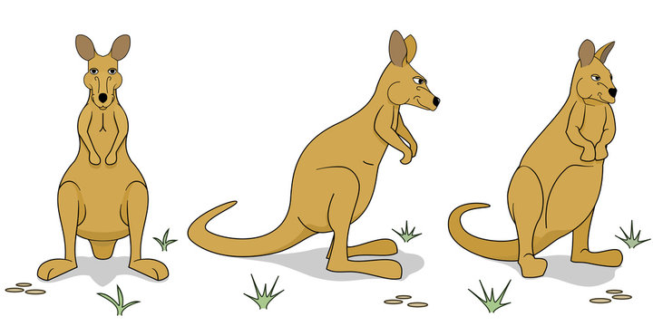 Wallaby figures in different positions