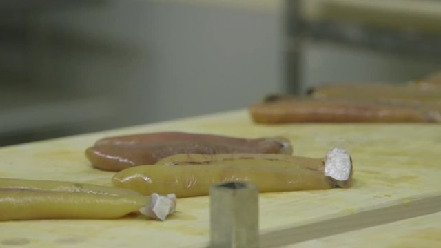 Salted bottarga 6
Shooting of salting the bottarga with different shots