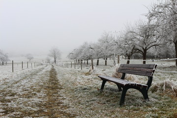Naklejka premium bench in the frozen field