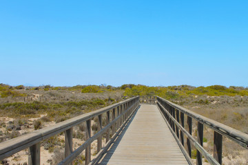 Fototapeta premium San Pedro del Pinatar, Región de Murcia
