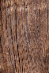 Holz Struktur Mammutbaum