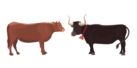 cartoon vector bull mammal animal isolated