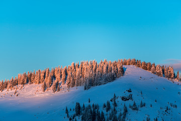 Winter in carpathian mountains