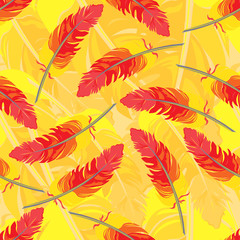 Fototapeta na wymiar Seamless repeating pattern of colored feathers.Vector