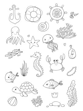 Marine illustrations set. Little cute cartoon funny fish, starfish, bottle with a note, algae, various shells and crab. Sea theme.