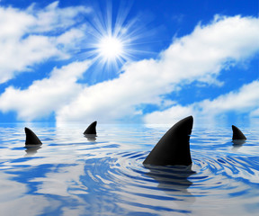 Shark on a Sunny Day - 132460921
