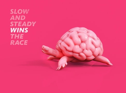 Slow And Steady Wins The Race. Turtle Brain 3D Illustration