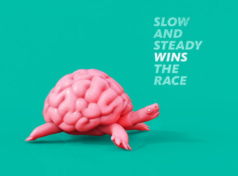 Slow And Steady Wins The Race. Turtle Brain 3D Illustration