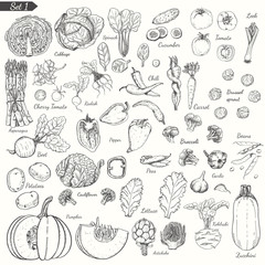 Naklejka na ściany i meble Big set of vegetables in sketch style