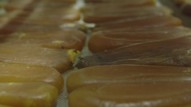 Salted bottarga 2
Shooting of salting the bottarga with different shots