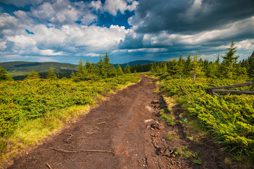 Peak of the Harghita Mountain