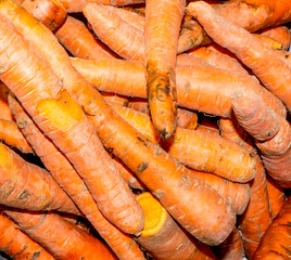 The Carrot background.