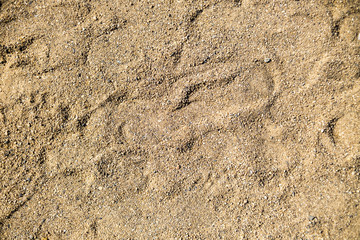 natural background of sand