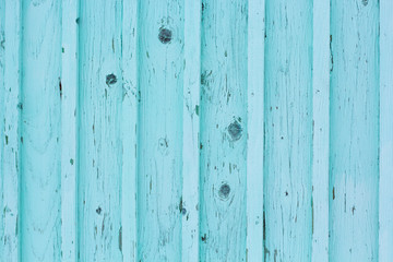 Closeup picture of old wood texture