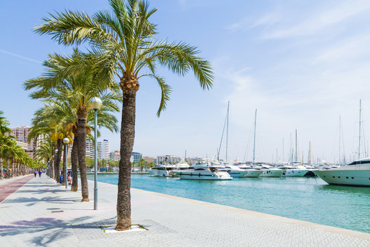 Fototapeta Palma de Mallorca Carrer Del Moll marina skyline with yachts