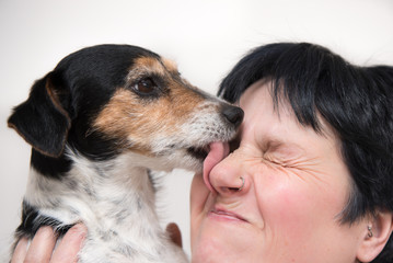 Freundschaft zwischen Mensch und Hund - Jack Russell Terrier 
