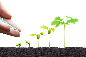Agriculture. Hand of a farmer nurturing young baby plants growing in germination sequence on fertile soil isolated