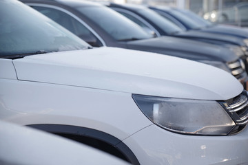 Fototapeta premium Auto 