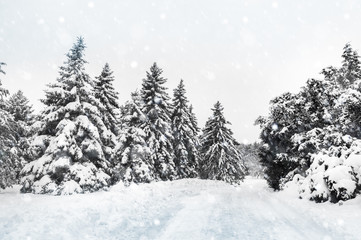 Duotone picture of a winter snowy landscape in Montreal, Quebec