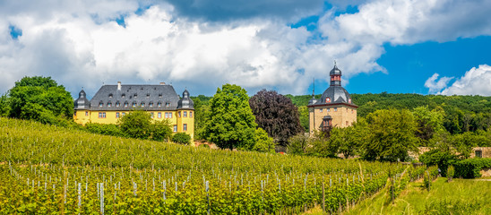 Fototapeta na wymiar Schloss Vollrads, Rheingau, 