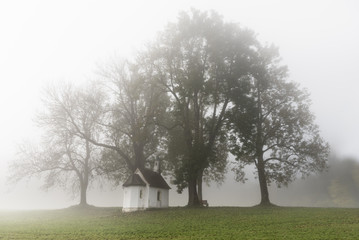 Church and trees in the fog