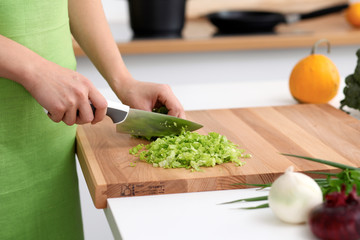 Close up of  woman's hands cooking in the kitchen. Housewife slicing ​​fresh salad. Vegetarian and healthily cooking concept