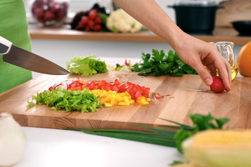 Close up of  woman's hands cooking in the kitchen. Housewife slicing ​​fresh salad. Vegetarian and healthily cooking concept