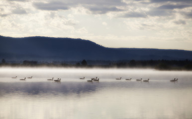 Fog over the lake