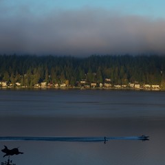 Waterskiing Pacific Northwest