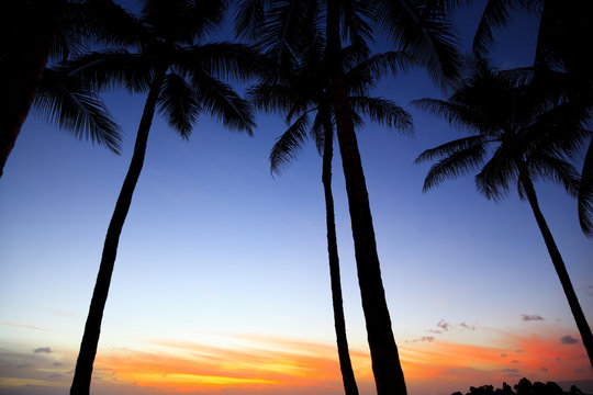 ハワイの夕焼け