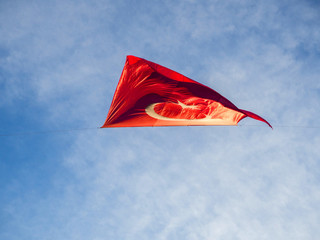 Red Turkish Flag