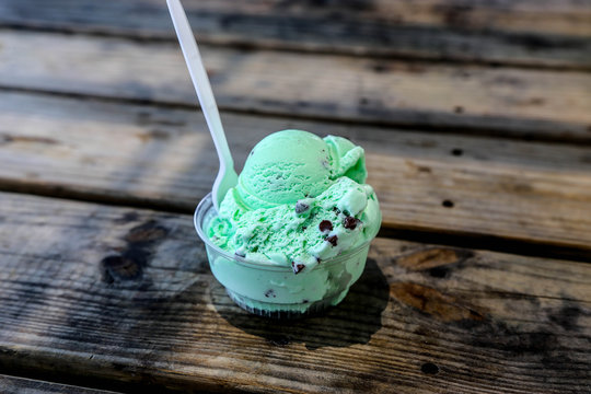 Mint Chocolate Chip Ice Cream